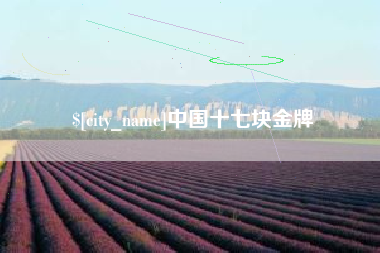 平邑中国十七块金牌