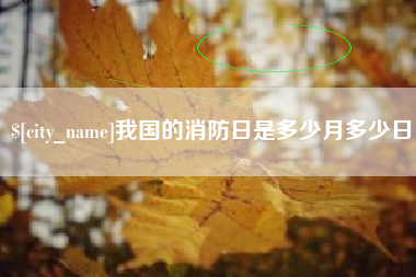 平邑我国的消防日是多少月多少日