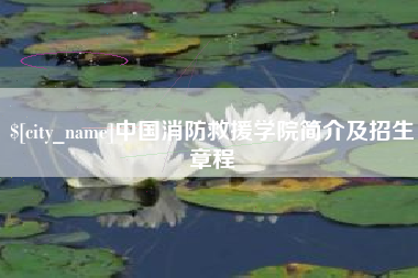 平邑中国消防救援学院简介及招生章程