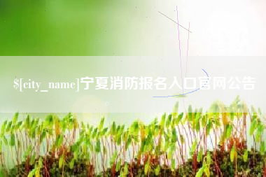 平邑宁夏消防报名入口官网公告