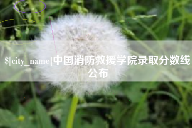 平邑中国消防救援学院录取分数线公布