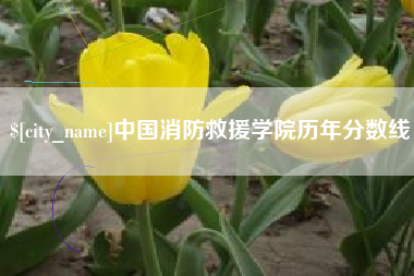 平邑中国消防救援学院历年分数线