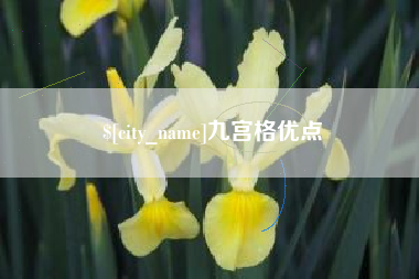 平邑九宫格优点