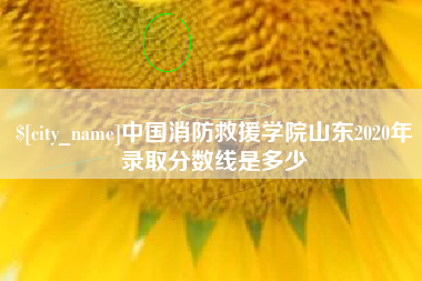 平邑中国消防救援学院山东2020年录取分数线是多少