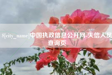 平邑中国执政信息公开网-失信人员查询页
