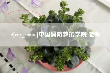 平邑中国消防救援学院 老师