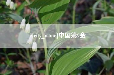 平邑中国第9金