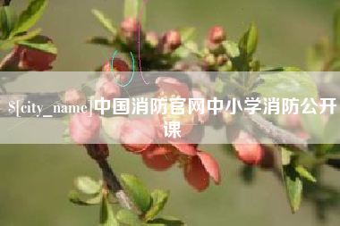 平邑中国消防官网中小学消防公开课
