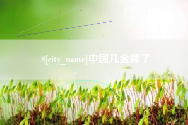 平邑中国几金牌了