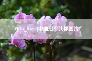 平邑中国冠军头像图片