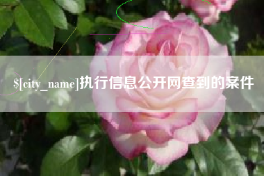 平邑执行信息公开网查到的案件