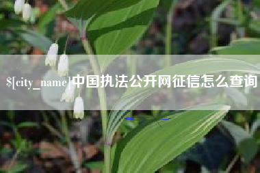 平邑中国执法公开网征信怎么查询