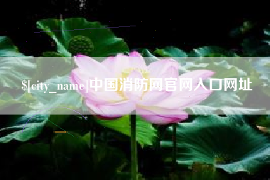 平邑中国消防网官网入口网址