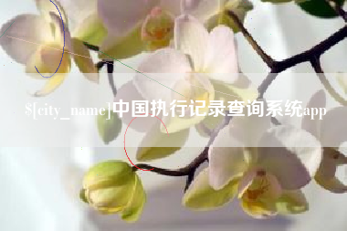 平邑中国执行记录查询系统app