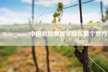 平邑中国消防救援学院在那个地方