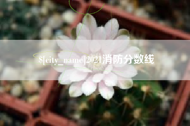平邑2021消防分数线