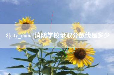 平邑消防学校录取分数线是多少