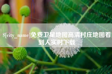 平邑免费卫星地图高清村庄地图看到人实时下载