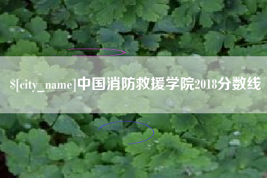 平邑中国消防救援学院2018分数线