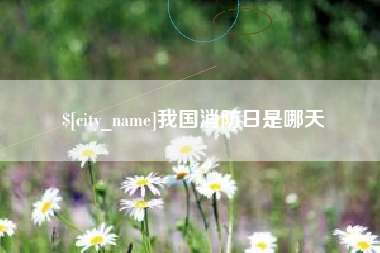 平邑我国消防日是哪天