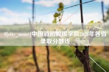 平邑中国消防救援学院2020年各省录取分数线