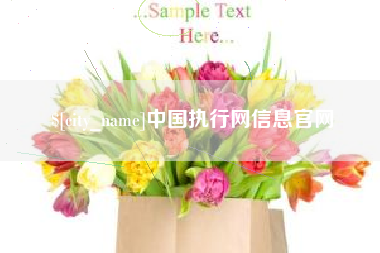 平邑中国执行网信息官网