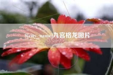 平邑九宫格龙图片
