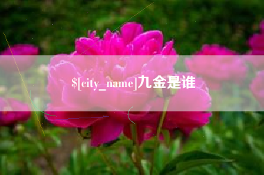 平邑九金是谁
