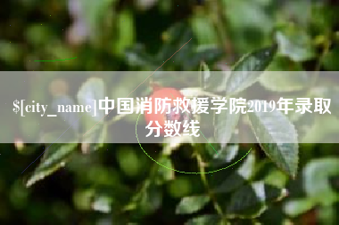 平邑中国消防救援学院2019年录取分数线