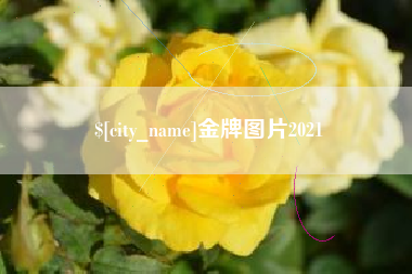 平邑金牌图片2021