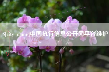 平邑中国执行信息公开网平台维护