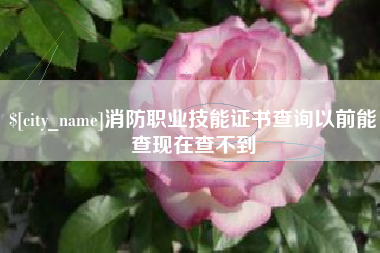 平邑消防职业技能证书查询以前能查现在查不到