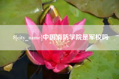 平邑中国消防学院是军校吗