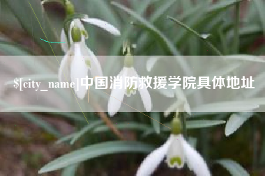 平邑中国消防救援学院具体地址
