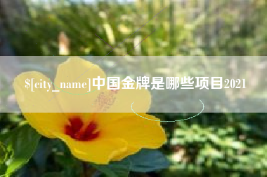 平邑中国金牌是哪些项目2021
