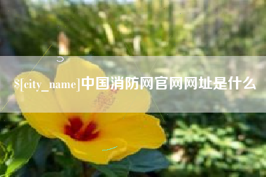 平邑中国消防网官网网址是什么