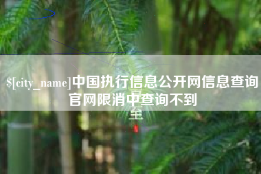 平邑中国执行信息公开网信息查询官网限消中查询不到