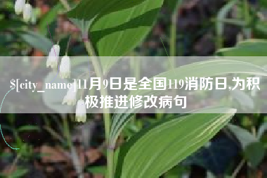 平邑11月9日是全国119消防日,为积极推进修改病句