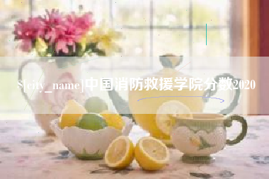 平邑中国消防救援学院分数2020