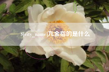 平邑九金指的是什么