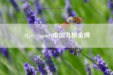 平邑中国九枚金牌