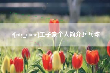 平邑王子豪个人简介乒乓球