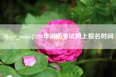 平邑2020年消防考试网上报名时间