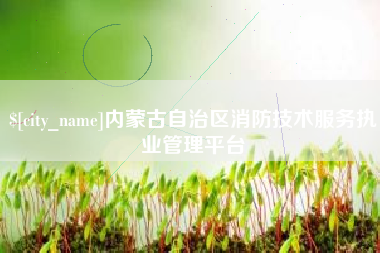平邑内蒙古自治区消防技术服务执业管理平台