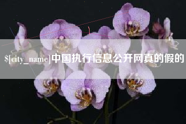平邑中国执行信息公开网真的假的