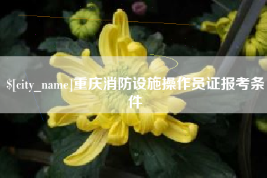 平邑重庆消防设施操作员证报考条件