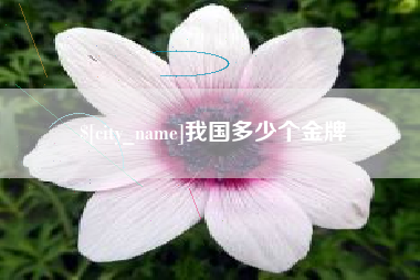 平邑我国多少个金牌