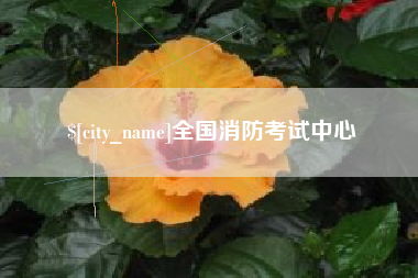 平邑全国消防考试中心
