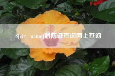 平邑消防证查询网上查询