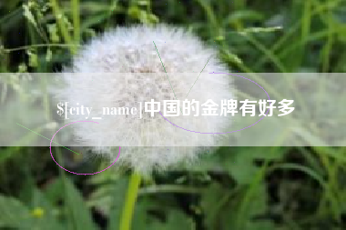 平邑中国的金牌有好多